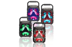 500 Watts Powered Portable Multimedia Speaker with USB/SD and FM Radio