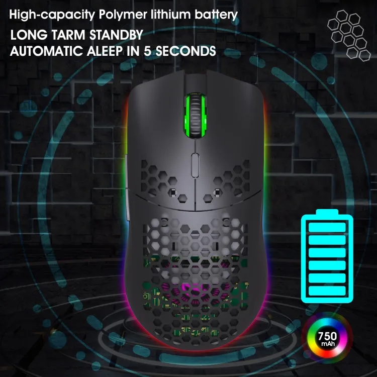 HXSJ T66 RGB Wireless Gaming Mouse with 7 Programmable Keys and Colorful Lighting
