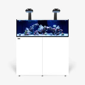 INFINIA Frag 125.4 PLUS Edition
