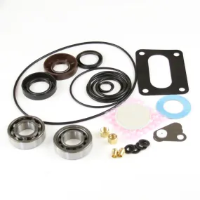 Light Maintenance Kit - Viton 2401LMKV1