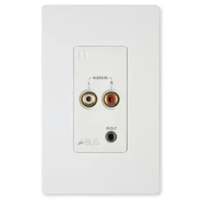 Local Input Module