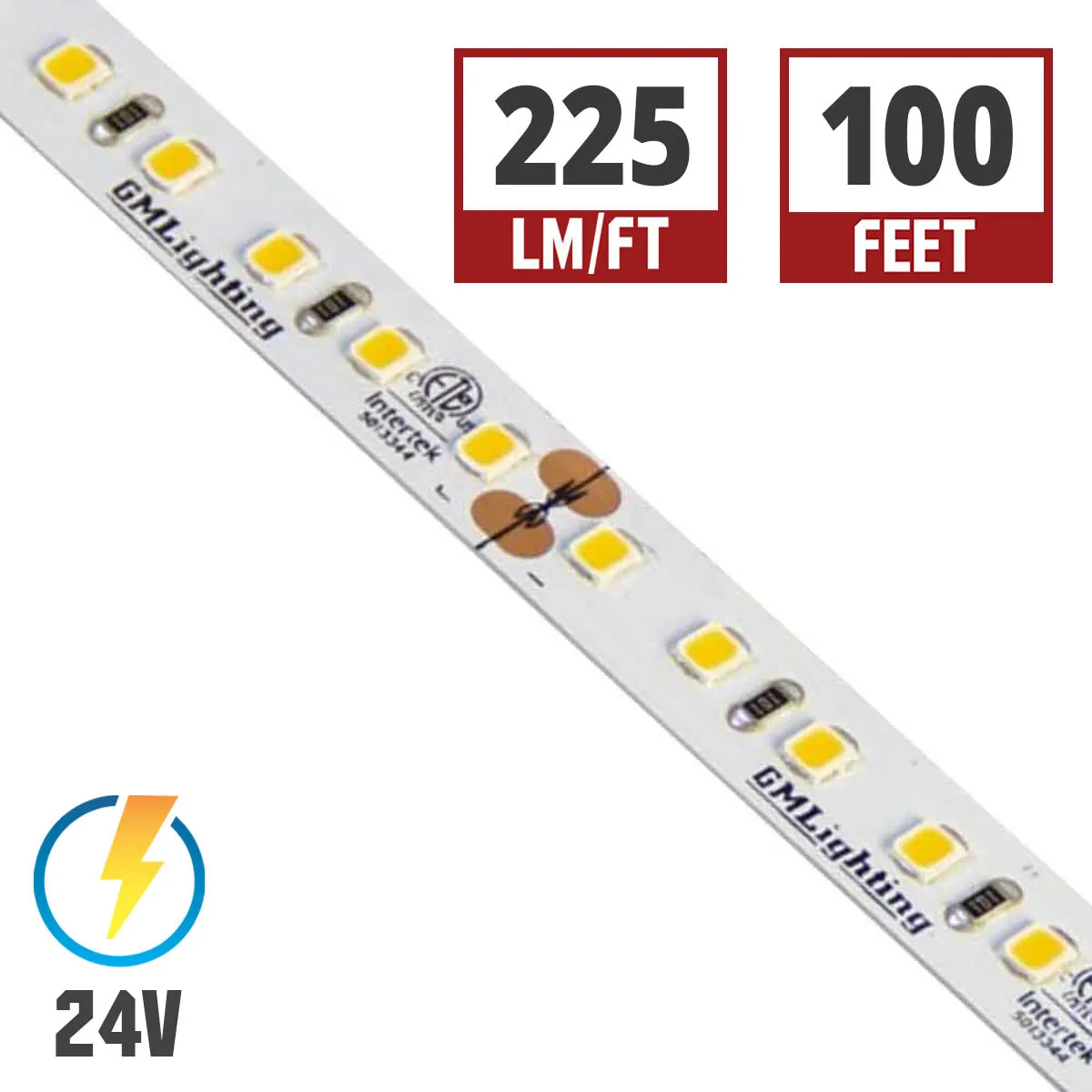 LTR-P Pro LED Tape Light, 100ft Reel, 2700K, 225 Lumens per Ft, 3 watts per Ft, 24V