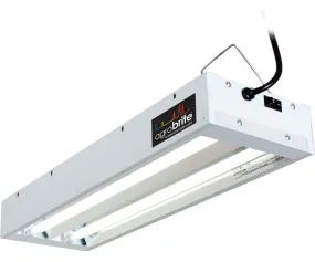T5 2Ft 2 Tube Fixture w/Bulbs