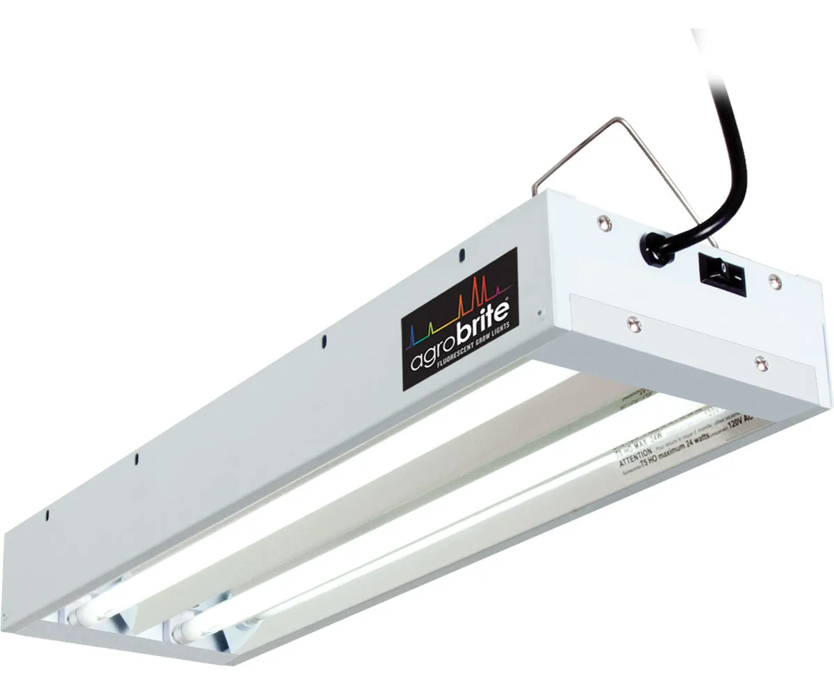 T5 2Ft 2 Tube Fixture w/Bulbs