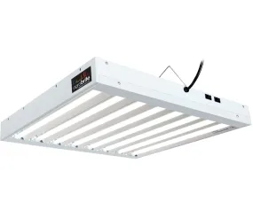 T5 2Ft 8 Tube Fixture w/Bulbs