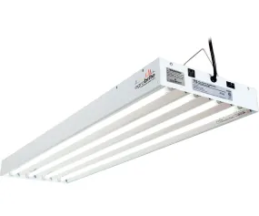 T5 4Ft 4 Tube Fixture w/Bulbs