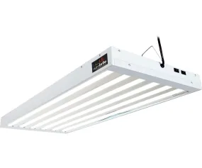 T5 4Ft 6 Tube Fixture w/Bulbs